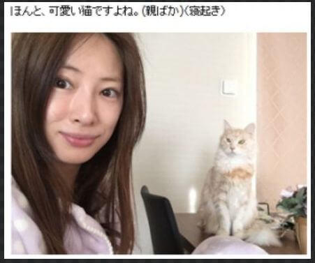 北川景子の整形疑惑を徹底検証！